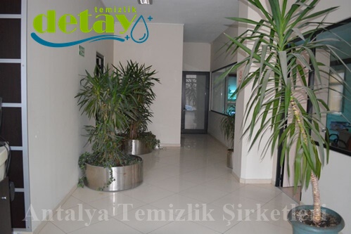 Temizlik Detay İster